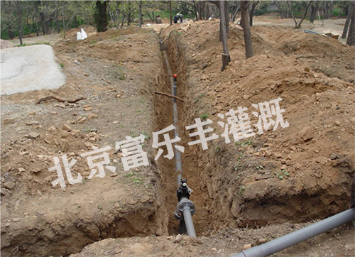 内页图4.jpg