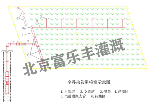 内页图片01.jpg