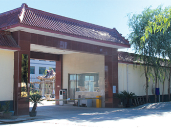 公司介绍