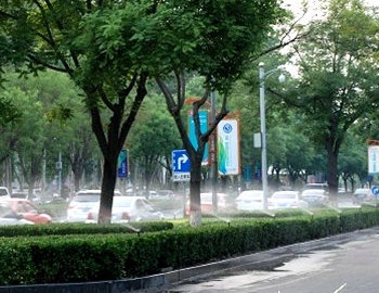 防护绿地灌溉案例-7