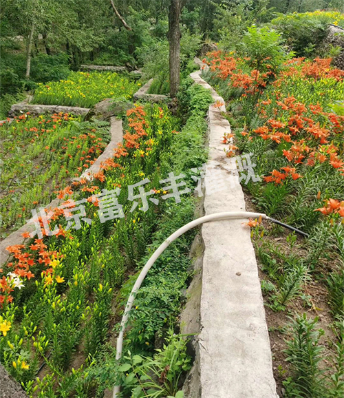 项目实景图