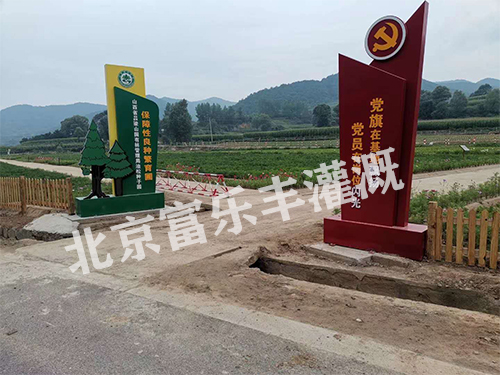 项目实景图