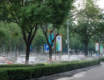 顺义区和平路绿化带灌溉工程